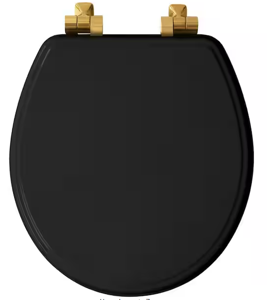 Weston Round Soft-Close Never-Loosens Brushed-Gold-Hinge Enameled Wood Toilet Seat in Black