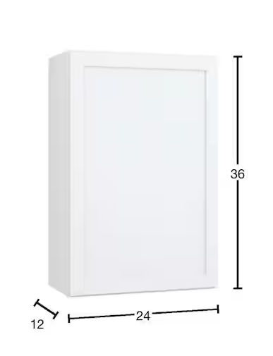 Courtland 24 in. W x 12 in. D x 36 in. H Assembled Shaker Wall Kitchen Cabinet in Polar White