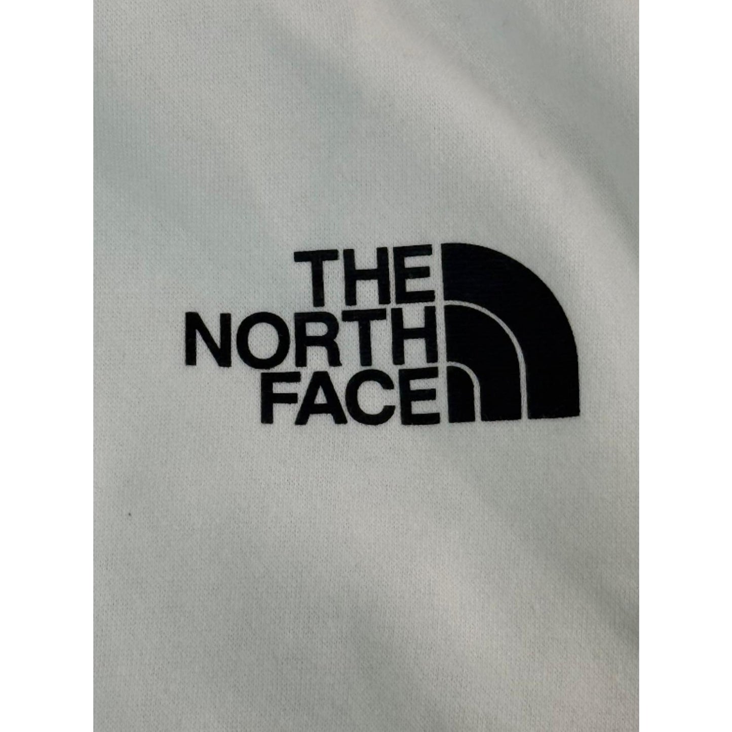 THE NORTH FACE XL Men's Box NSE Pullover Hoodie