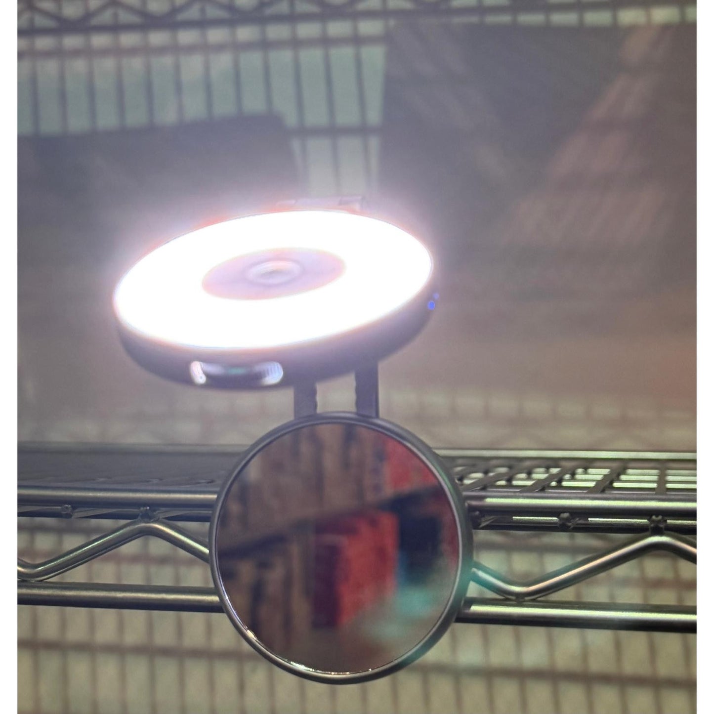 TELESIN C03 Magnetic Selfie Light, Phone Light Compatible with Phone Magnet