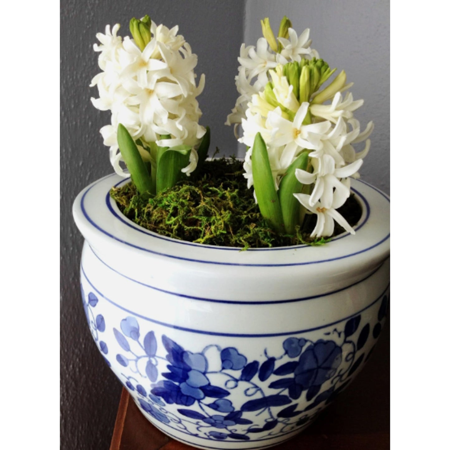 SuperMoss (23825) Mountain Moss Dried Natural 5lb Small Bale