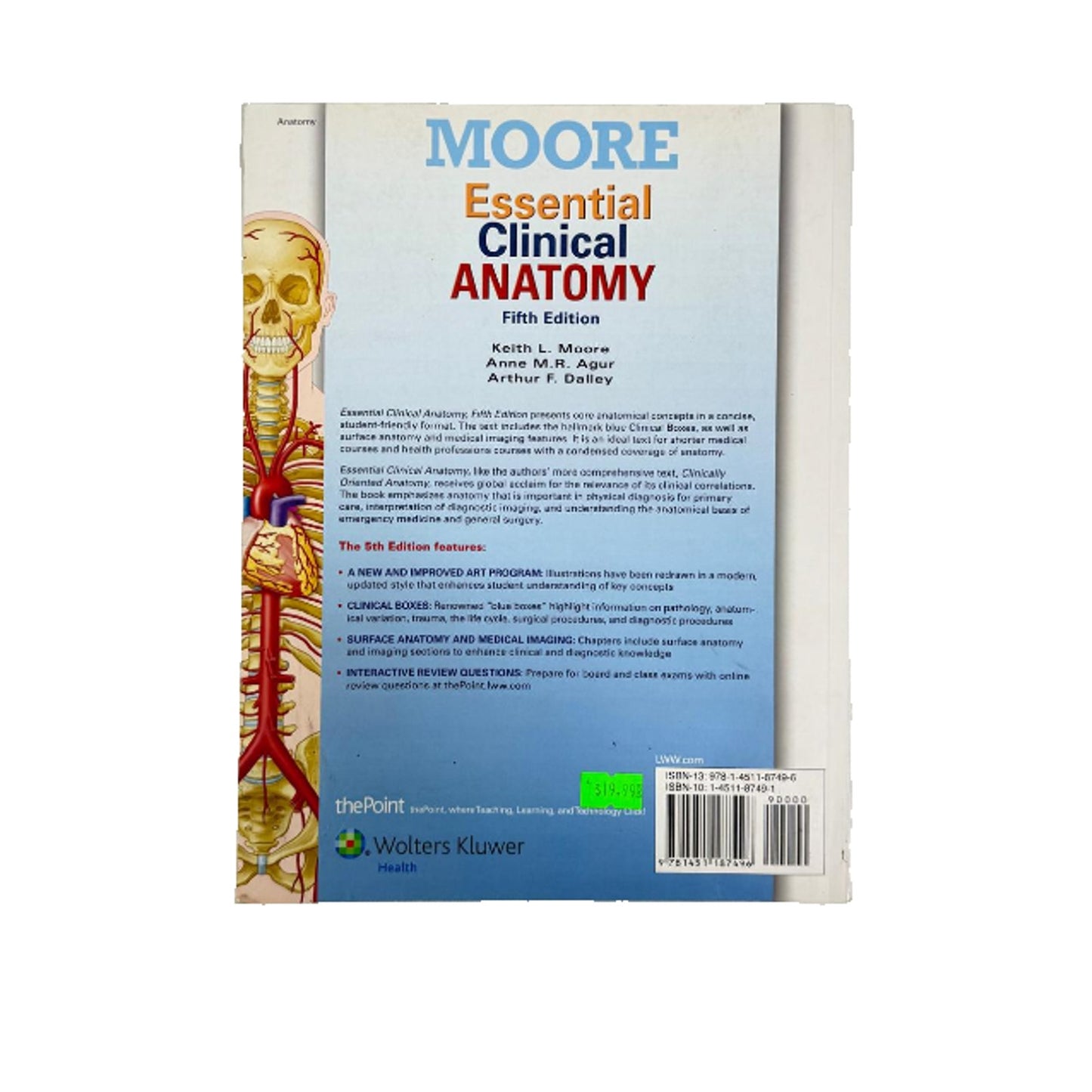 Moore Essential Clinical Anatomy 5th Edition