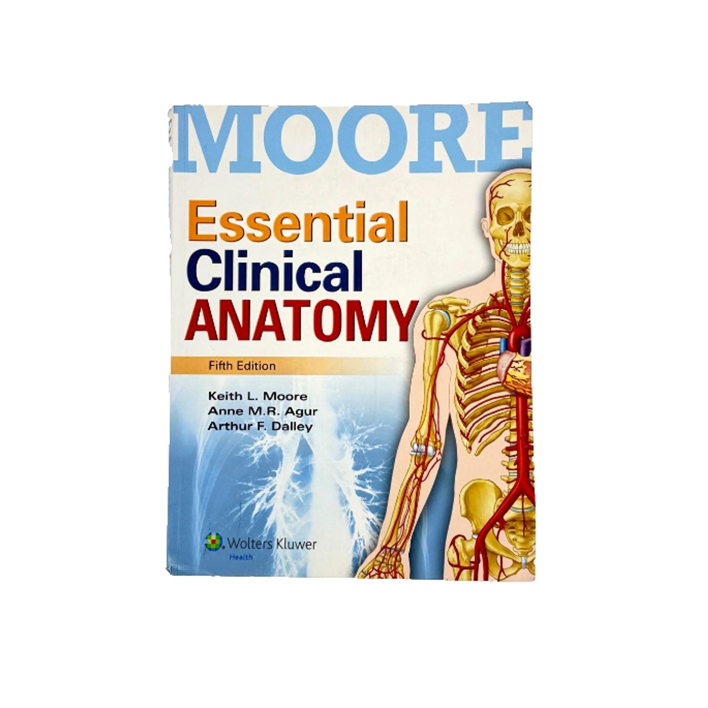 Moore Essential Clinical Anatomy 5th Edition