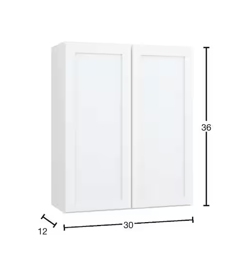 Courtland 30 in. W x 12 in. D x 36 in. H Assembled Shaker Wall Kitchen Cabinet in Polar White
