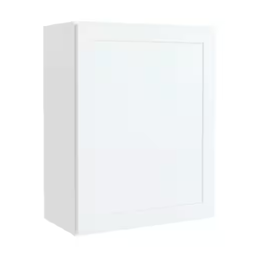 Courtland 24 in. W x 12 in. D x 30 in. H Assembled Shaker Wall Kitchen Cabinet in Polar White