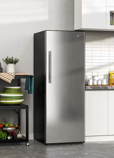 24 in. 11 cu. ft. Convertible Auto Defrost Garage Ready Upright Freezer/Refrigerator in Stainless Steel, Energy Star