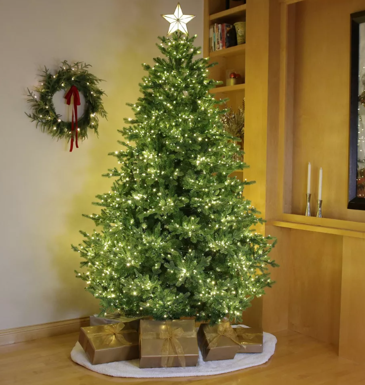 Philips 7.5' Lit Balsam Teardrop Bicolor Multi Function Twinkle Led Lights Autoconnect Foot Pedal with Remote Control