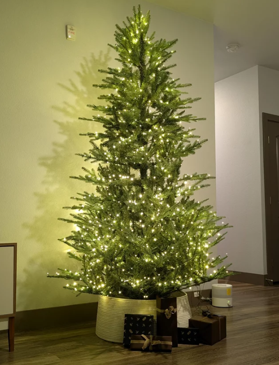 Philips 7.5' Lit Balsam Teardrop Bicolor Multi Function Twinkle Led Lights Autoconnect Foot Pedal with Remote Control