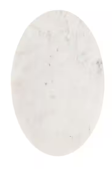 Natalli 14 in. White Oval Marble C Shaped End Table
