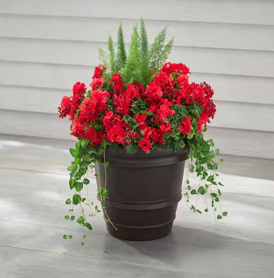 21.8 in. Sutter Creek Java Large Brown Resin Planter (21.8 in. D x 16.1 in. H)