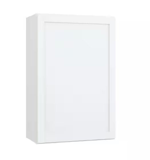 Courtland 24 in. W x 12 in. D x 36 in. H Assembled Shaker Wall Kitchen Cabinet in Polar White