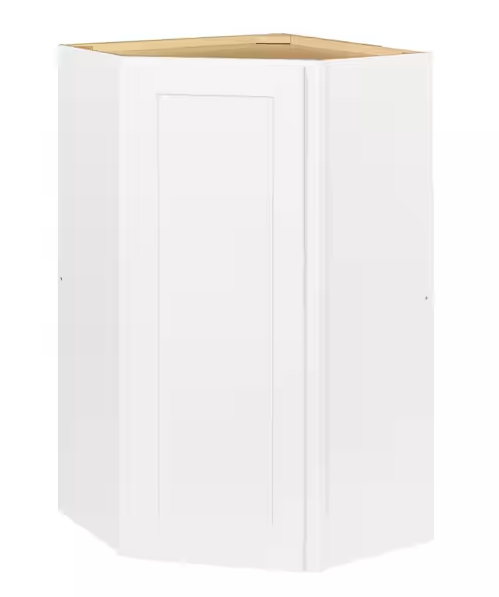 Avondale 24 in. W x 24 in. D x 42 in. H Ready to Assemble Plywood Shaker Diagonal Corner Kitchen Cabinet in Alpine White