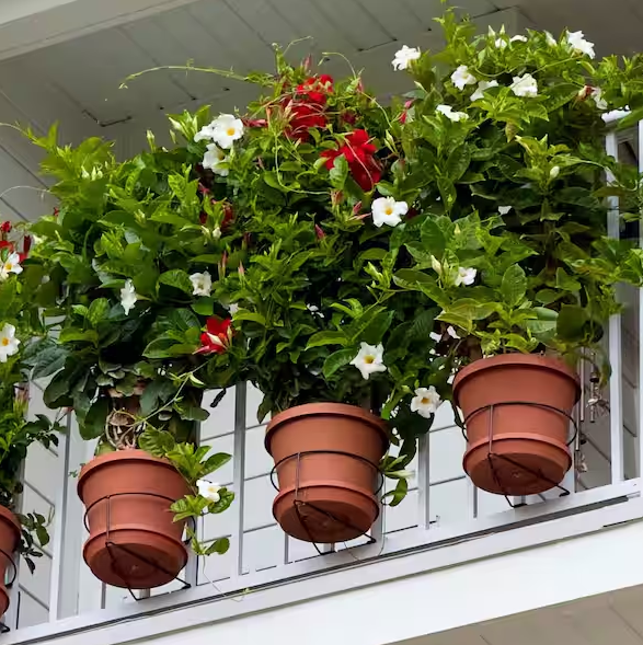 RailScapes Vertical Gardening Plant Clip for Narrow Spindles 3-Pack