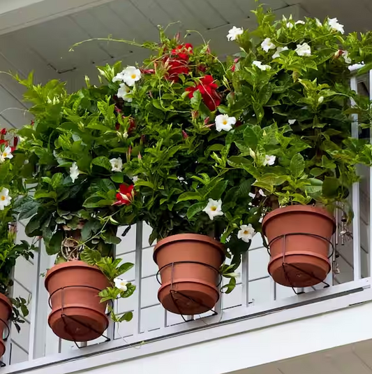 RailScapes Vertical Gardening Plant Clip for Narrow Spindles 3-Pack