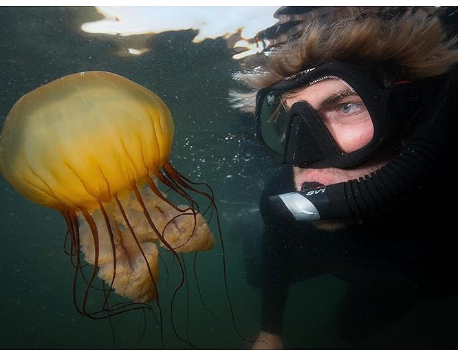 Atomic Aquatics Venom Frameless Mask