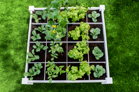 Vita 13.5-cu ft 48-in W x 48-in L x 11-in H White Vinyl Raised Garden Bed 2PACK