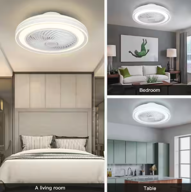 20 in. Indoor White Caged Enclosed Ceiling Fan with LED Light Modern Low Profile Ceiling Fan with Remote and APP Control