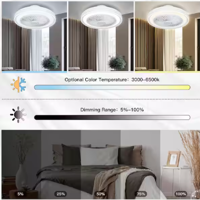 20 in. Indoor White Caged Enclosed Ceiling Fan with LED Light Modern Low Profile Ceiling Fan with Remote and APP Control
