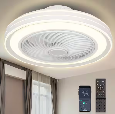 20 in. Indoor White Caged Enclosed Ceiling Fan with LED Light Modern Low Profile Ceiling Fan with Remote and APP Control
