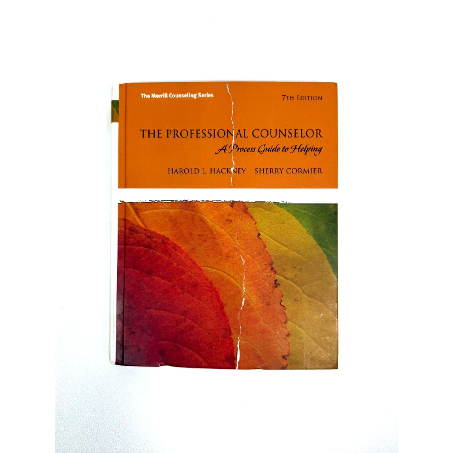 THE PROFESSIONAL COUNSELOR: A PROCESS GUIDE TO HELPING By Harold L. Hackney VG